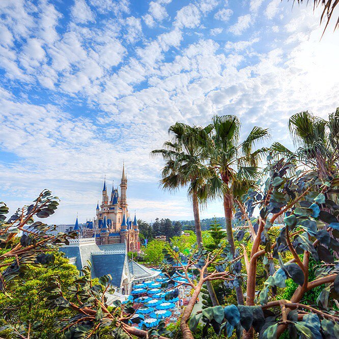 Tokyo Disney Resort Guess From Where You Can See This どこからの景色かわかるかな Swissfamilytreehouse Adventu Ciao Nihon