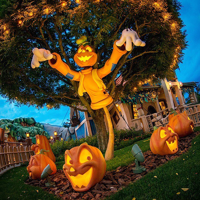 Tokyo Disney Resort Goofy S Front Yard Is In The Halloween Mood パンプキンかかしに何か御用 Scarecrow Disneysh Ciao Nihon