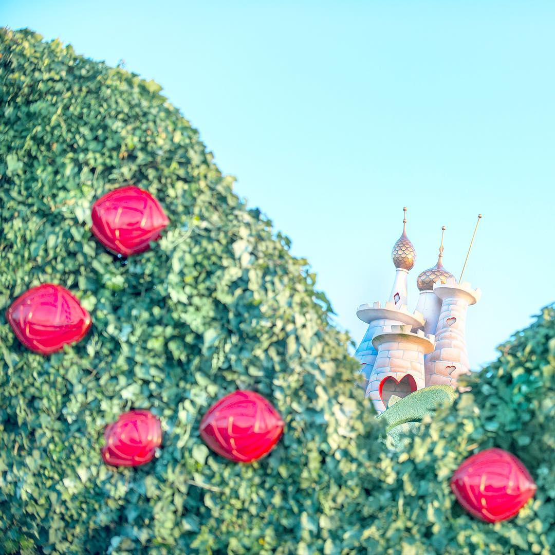 Tokyo Disney Resort Welcome To Queen Of Hearts Castle 赤いバラに ハートのお城はあの方のお城 Queenofheartsbanqueth Ciao Nihon