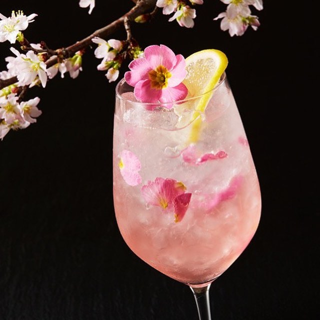 東京カレンダー 華やかなピンク色が春の心地よい季節感とリンクする すっきりと飲みやすいカクテル 隠れ家的雰囲気のゆっくりとした時が流れる英国風のクラシカルなバーで 期間限定の桜 Ciao Nihon