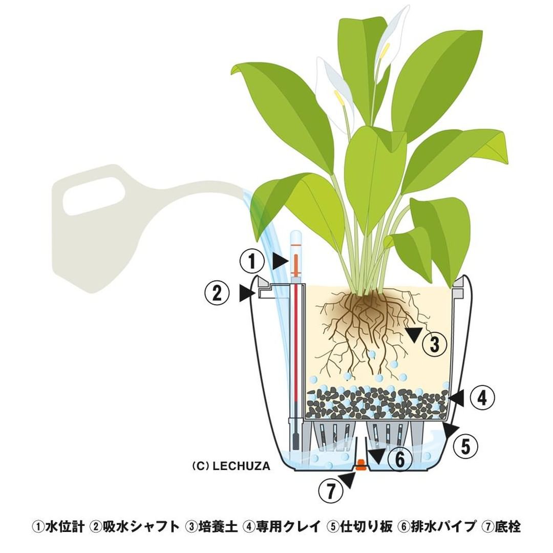 Muji無印良品 ネット限定 水やりのタイミングが見える観葉植物 植物を育てるときには 適切なタイミングで水やりすることが肝心です レチューザに植えた観 Ciao Nihon