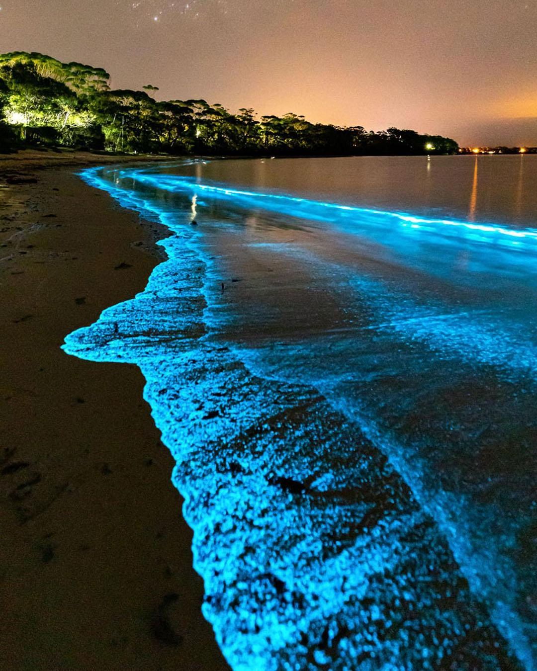 Canon Photography Bioluminescent algae, Jervis Bay! Swipe to see that