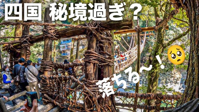 四国の秘境を紹介！徳島三好エリアで生活と観光！かずら橋に黒沢湿原！